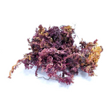 Raw Premium Purple Sea Moss